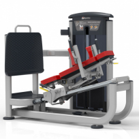 Профессиональный тренажер жим ногами / Гак-машина 2 в 1 IMPULSE FITNESS IT9539