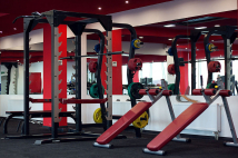 Силовая рама + опция для хранения дисков IMPULSE FITNESS Sterling SL7009+SL7009OPT