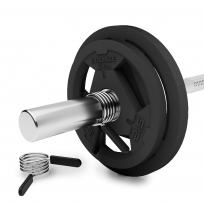 Диск олимпийский обрезиненный BRONZE GYM BGPLR250 25 кг
