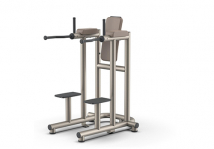 Брусья/поднятие коленей TECHNOGYM Luxury Leg Raise