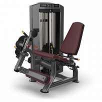 Разгибание ног TRUE FITNESS Palladium Leg Extension SPL-0100 Acrylic