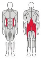 Гиперэкстензия с нагрузкой FITEX FTX-PL45