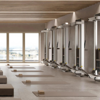 Реформер для пилатеса TECHNOGYM Reform Sand Stone